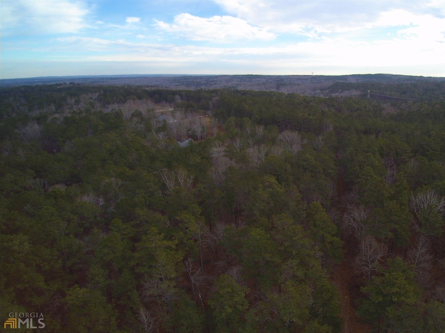 0 Little Vine Church Rd unit 8910238, Villa Rica, GA 30180 - photo 1