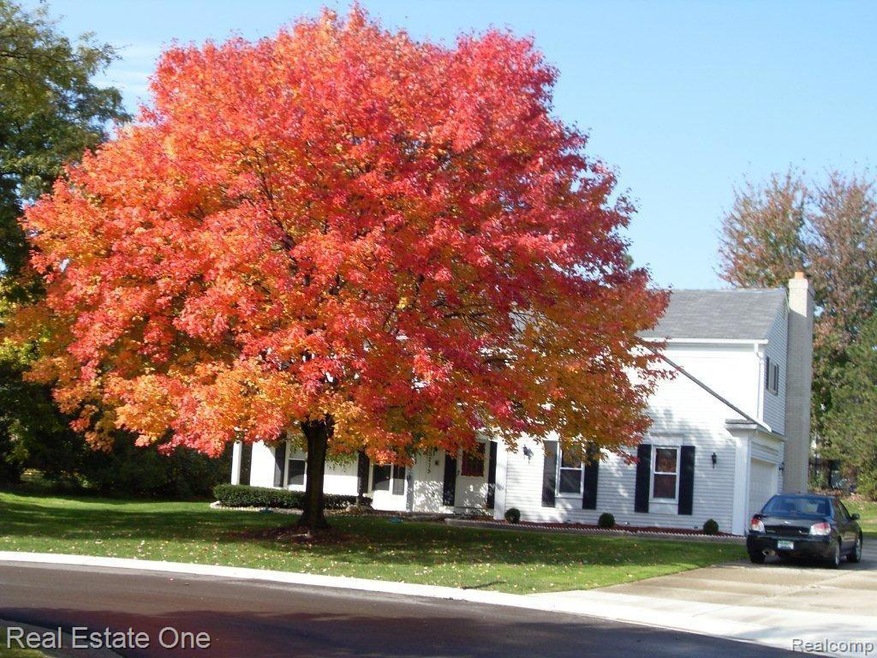 fall colors 002.jpg