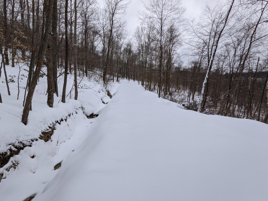 0 Rustic Rd, Pike Township, PA 16833 - photo 1