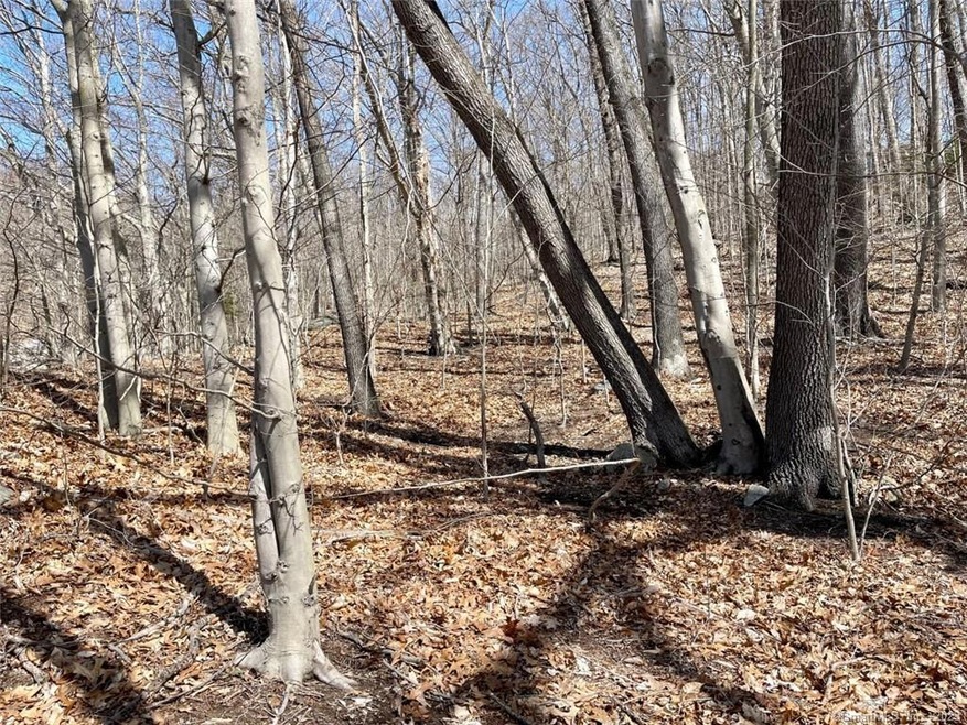 235 McKinley Avenue Extension, Norwich, CT 06360 - photo 1