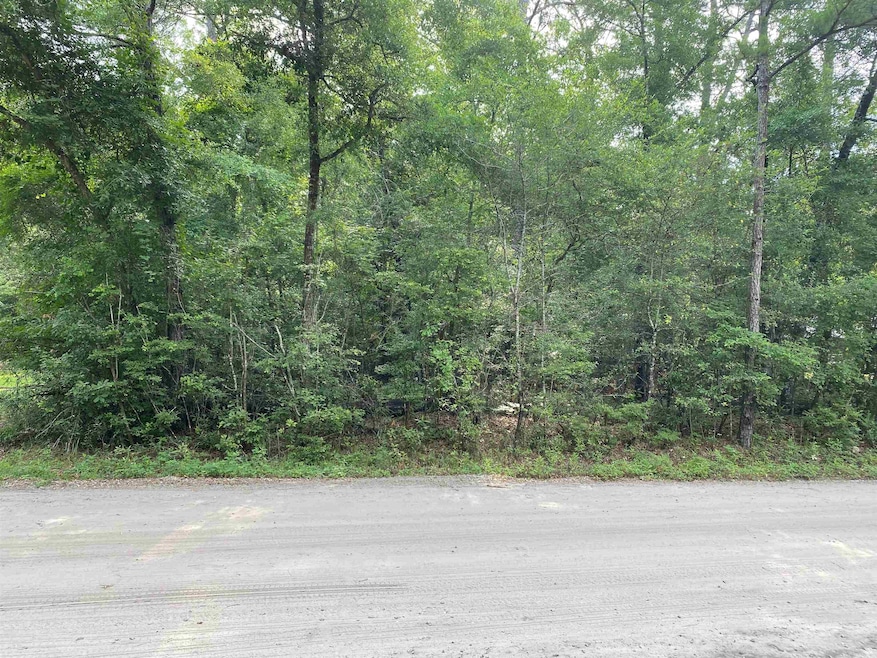 Lot 39 Renegade Rd, Crawfordville, FL 32327 - photo 1