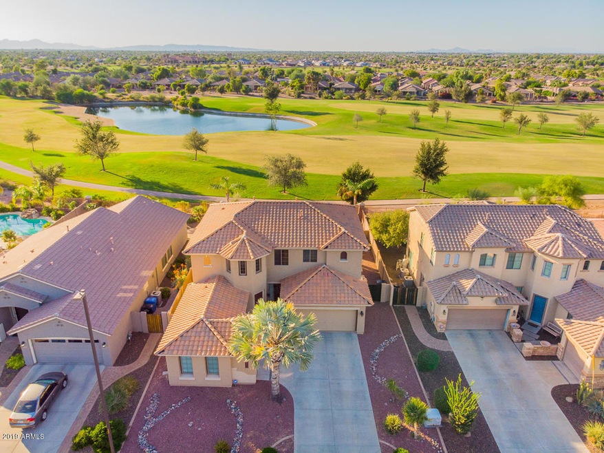 01-Birdie Aerials