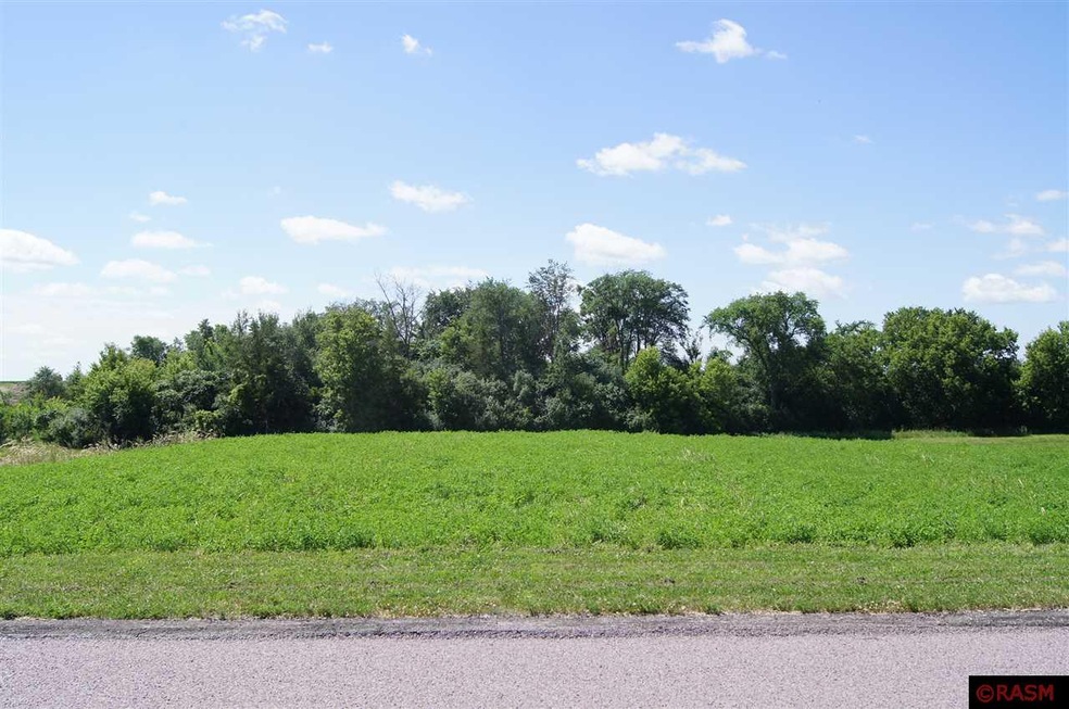 1819 Ryan Rd, New Ulm, MN 56073 - photo 1