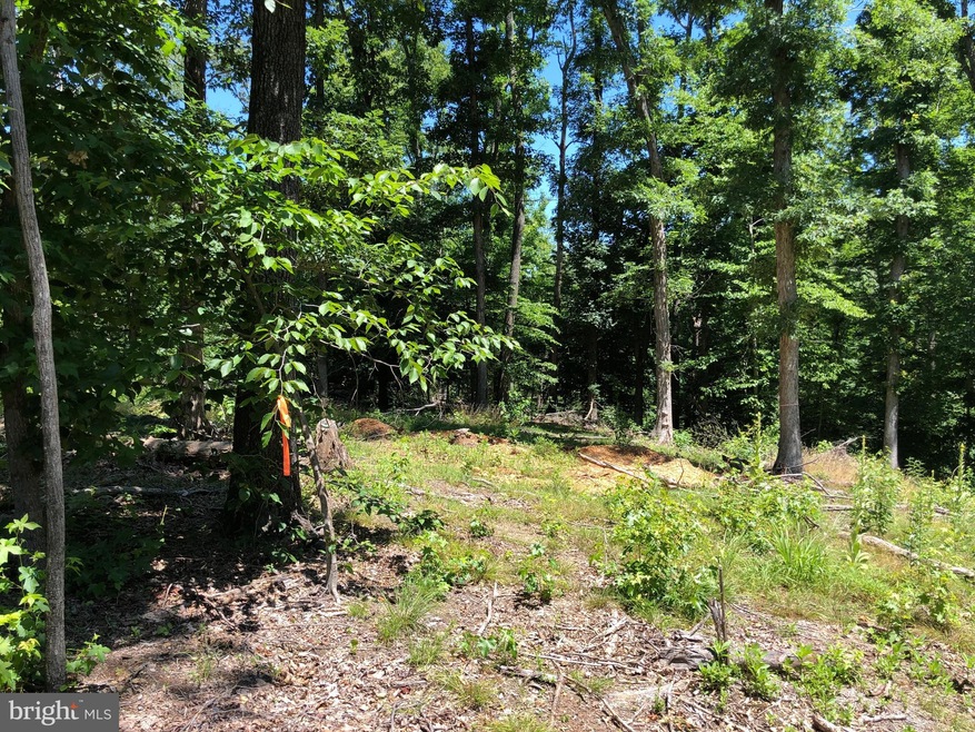 5665 Hawthorne Rd, La Plata, MD 20646 - photo 1