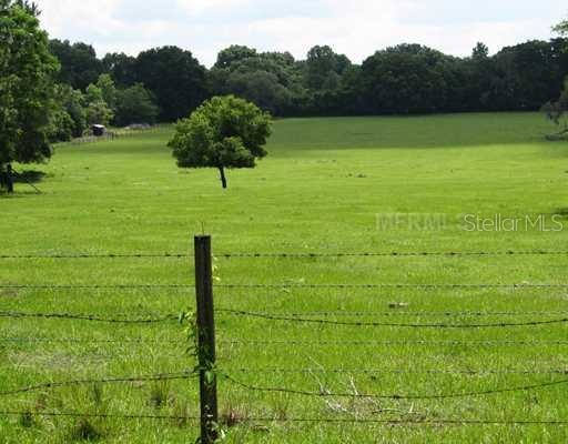 7600 Fort King Rd, Zephyrhills, FL 33541 - photo 1