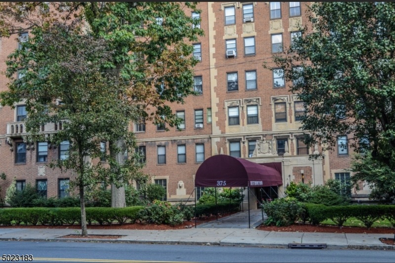 363 Mount Prospect Ave unit 3AW, Newark, NJ 07104 - photo 1
