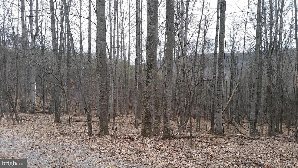 36 A High View Rd, Lost River, WV 26810 - photo 1