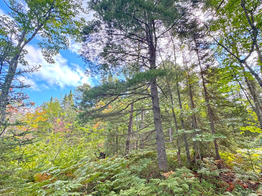 14599 N Whitefish Point Rd, Paradise, MI 49768 - photo 1