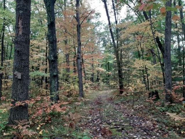 Lot 11 Oak Ln, Harrison, MI 48625 - photo 1