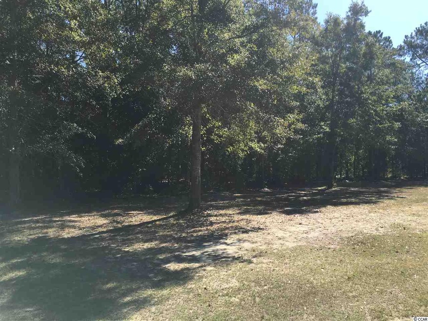 TBD Fawn Rd, Conway, SC 29527 - photo 1