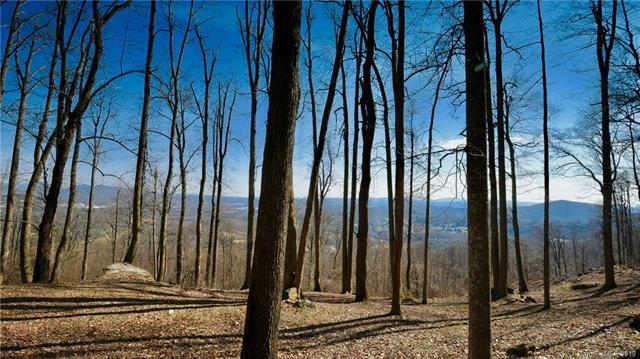 49 Split Rock Tr unit 4, Avery Creek, NC 28704 - photo 1