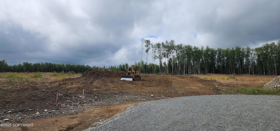 13446 W Excalibur Cir, Houston, AK 99694 - photo 1