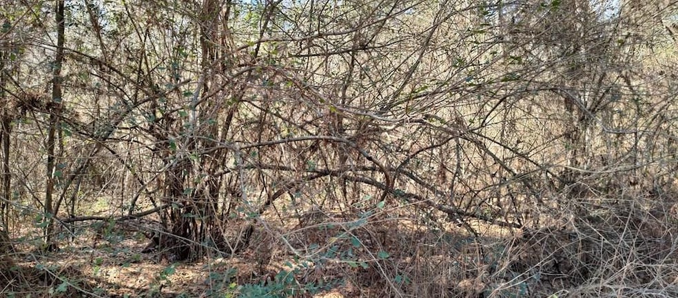 NHN Pecan Dr, Lumberton, MS 39455 - photo 1