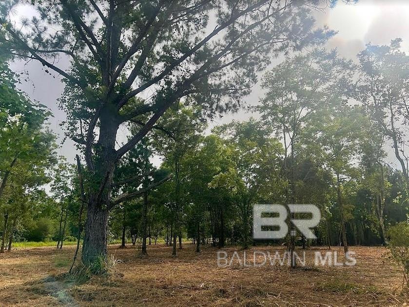 0 Newman Rd unit 13 363122, Mobile, AL 36695 - photo 1