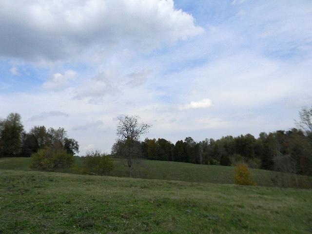 lots of rolling pastureland 