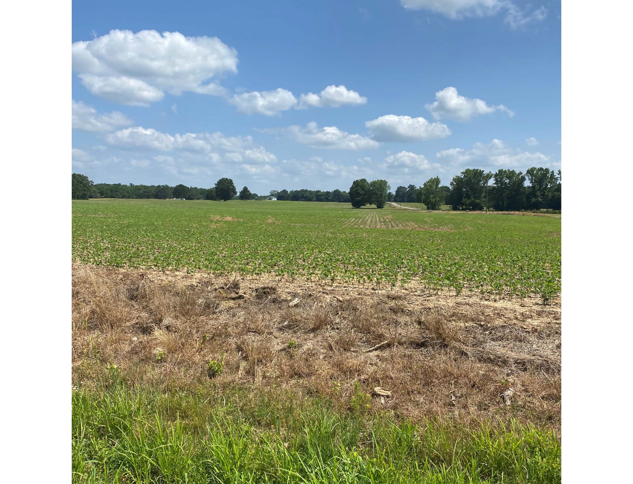 0 Salem Minor Hill Rd unit RTC2397898, Minor Hill, TN 38473 - photo 1