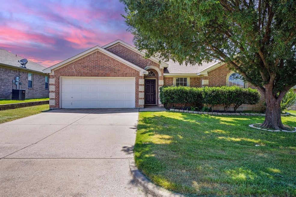 205 Whitestone Way, Weatherford, TX 76085 - photo 1