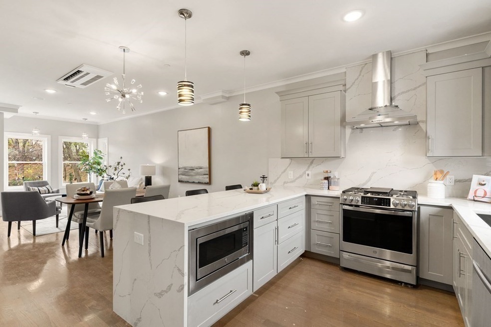 30 Langdon St unit 30, Boston, MA 02119 - photo 1