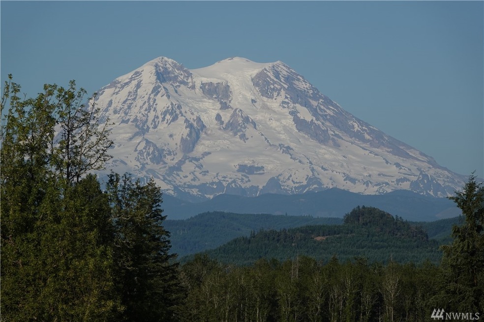 17910 Fennel Rd SE, Yelm, WA 98597 - photo 1