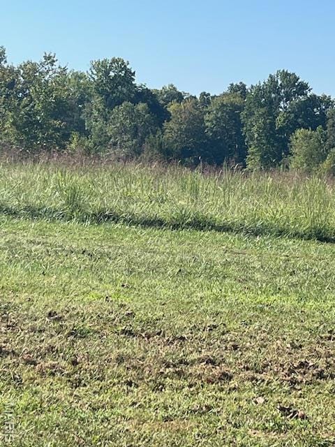 Lot 8 Egypt Mills Ridge, Cape Girardeau, MO 63701 - photo 1