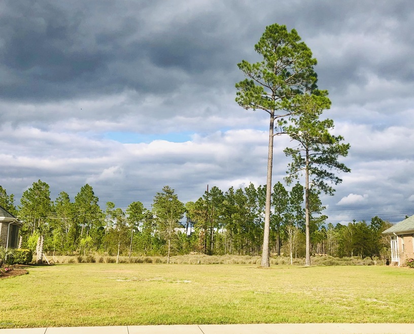 1269 Lillibridge Dr, Leland, NC 28451 - photo 1