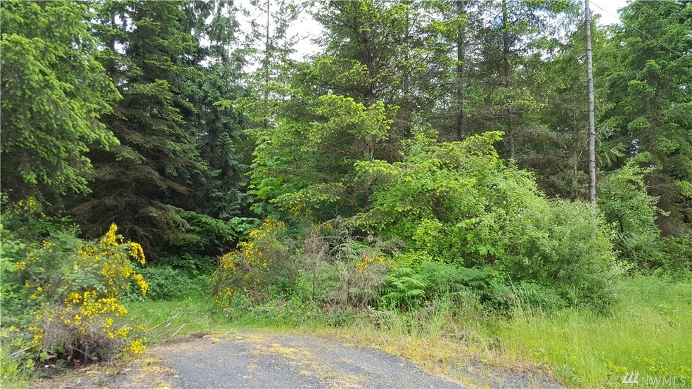 245 Avery Rd W, Winlock, WA 98596 - photo 1