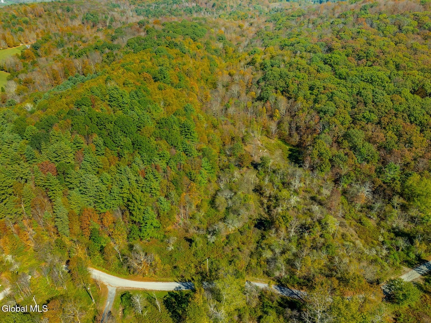 L8 Parqui Ln, Salem, NY 12865 - photo 1