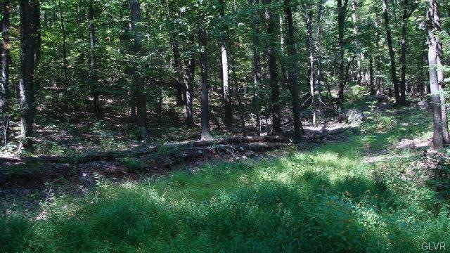 0 Kettle Rd unit 421866, Walker Township, PA 18252 - photo 1