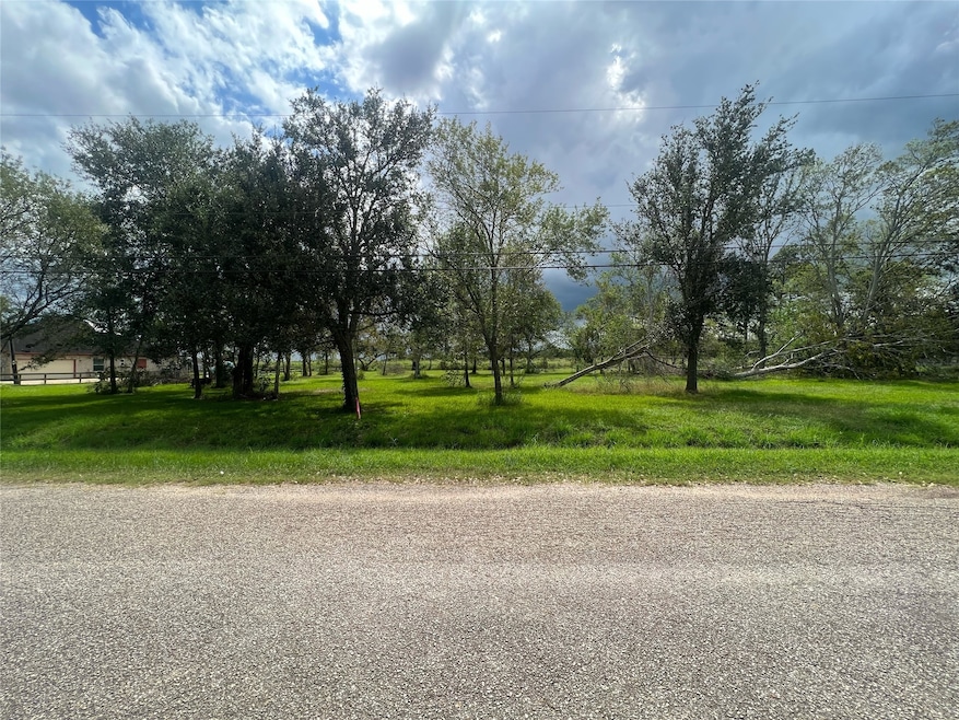 7304 Reed Ln, Manvel, TX 77578 - photo 1