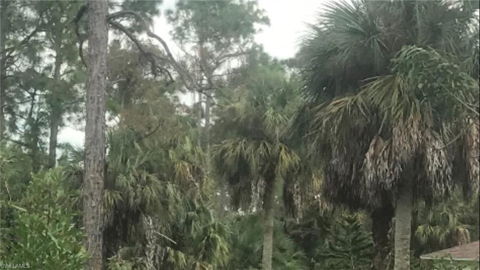 1170 17th St SW, Naples, FL 34117 - photo 1