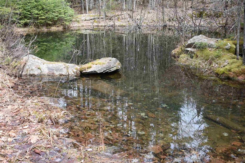 00 Willoughby Lake Rd, West Glover, VT 05822 - photo 1