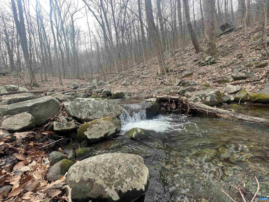 TBD Cub Creek Rd unit 1B, Massies Mill, VA 22967 - photo 1