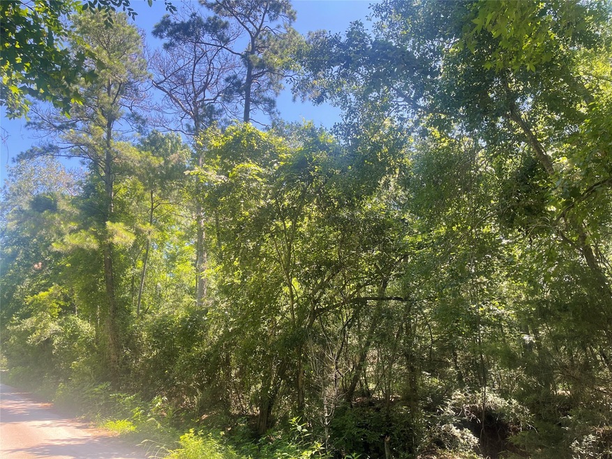 0 Klein, Magnolia, TX 77355 - photo 1