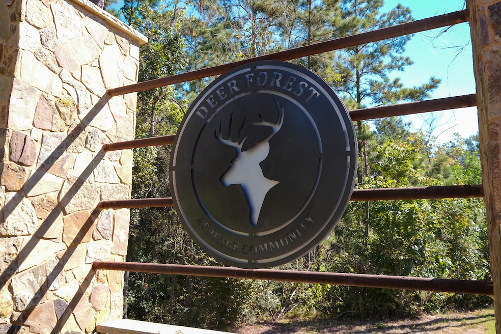 186 Exploration Rd, New Waverly, TX 77358 - photo 1