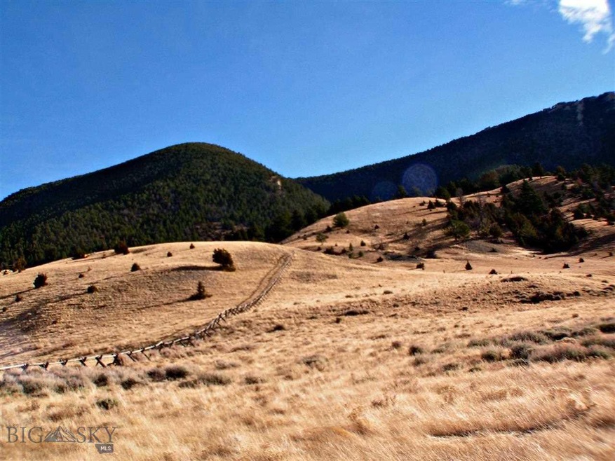 Area Views