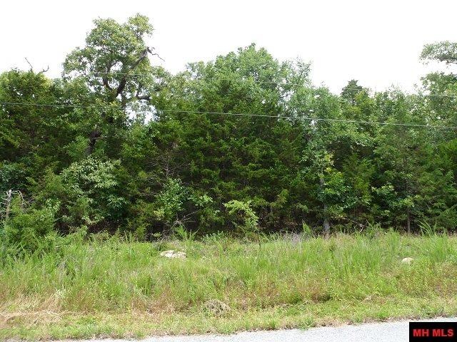 Lot Q Longfellow Dr, Mountain Home Township, AR 72653 - photo 1