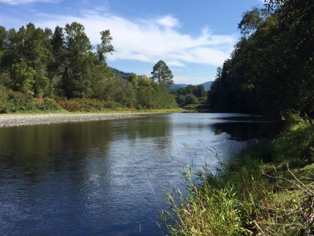 700 feet of RIVER FRONTAGE