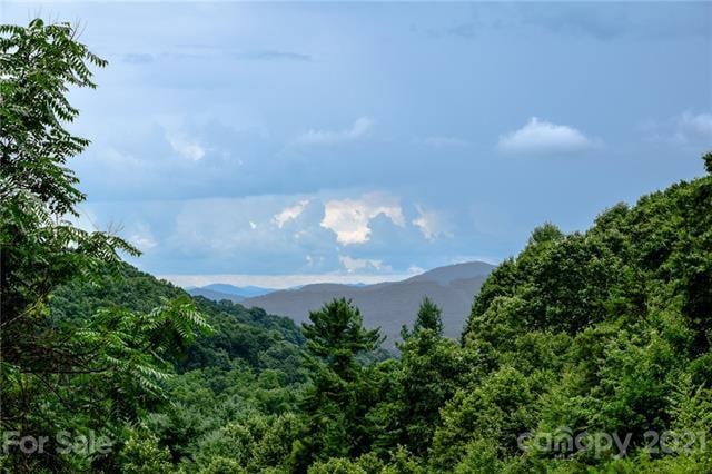 99999 Spring Creek Trail unit 7, Asheville, NC 28806 - photo 1