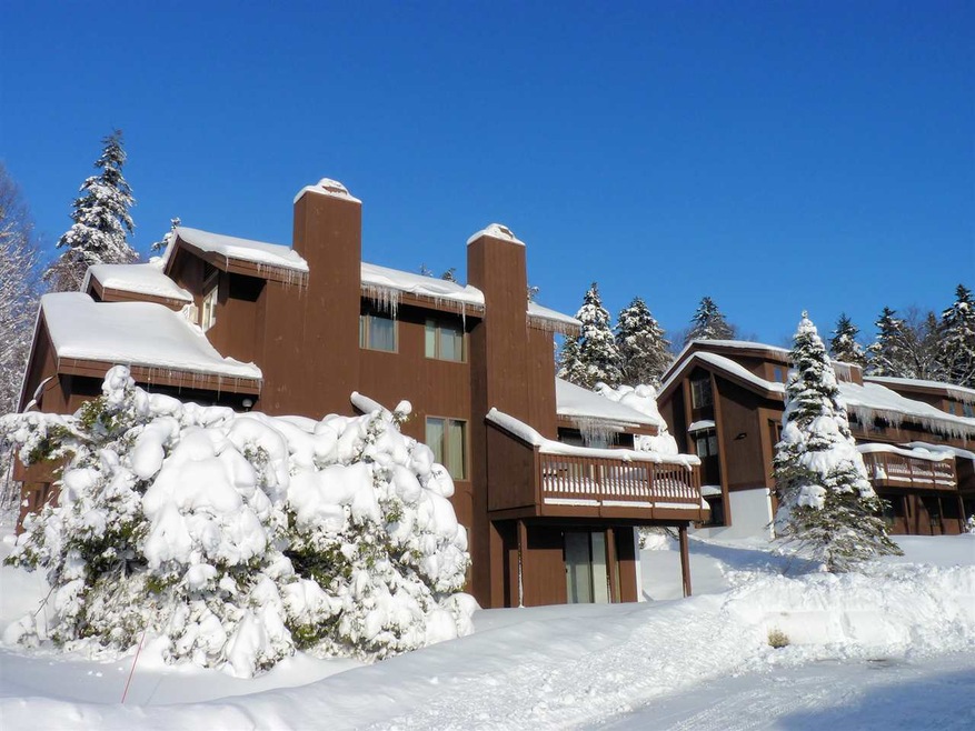 100 Ridges Way unit 500-1, Peru, VT 05152 - photo 1