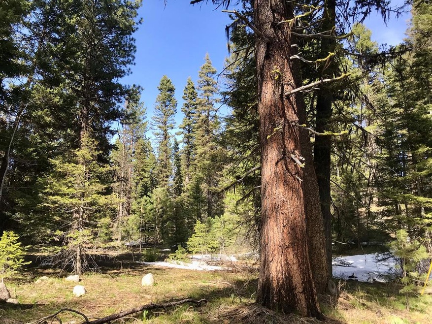 1046 Northview Dr unit 22, McCall, ID 83638 - photo 1