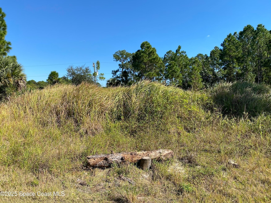 2739 Haberland Ave SE, Palm Bay, FL 32909 - photo 1