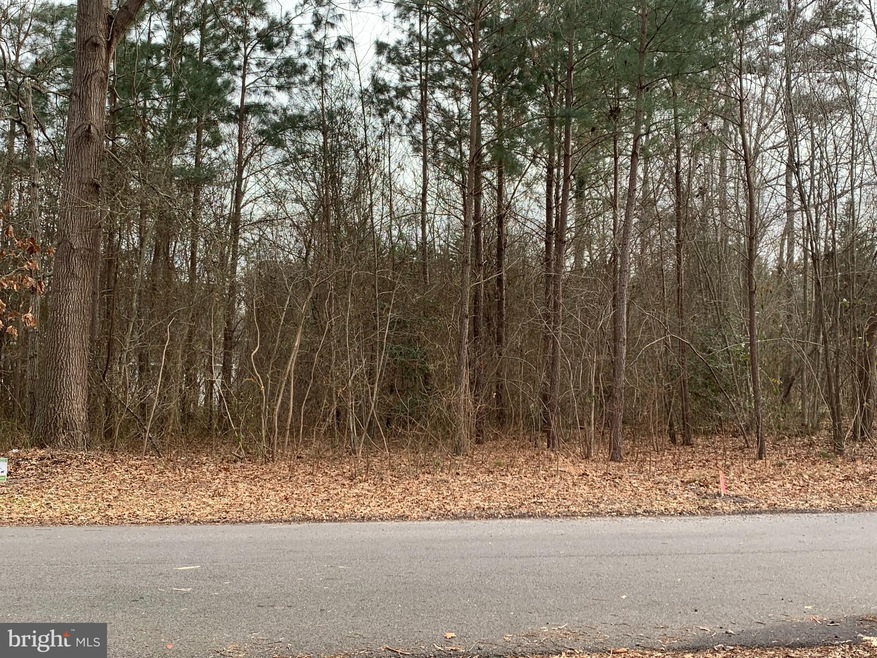 Lot C3 S Mount Laurel Dr unit C3, Dagsboro, DE 19939 - photo 1