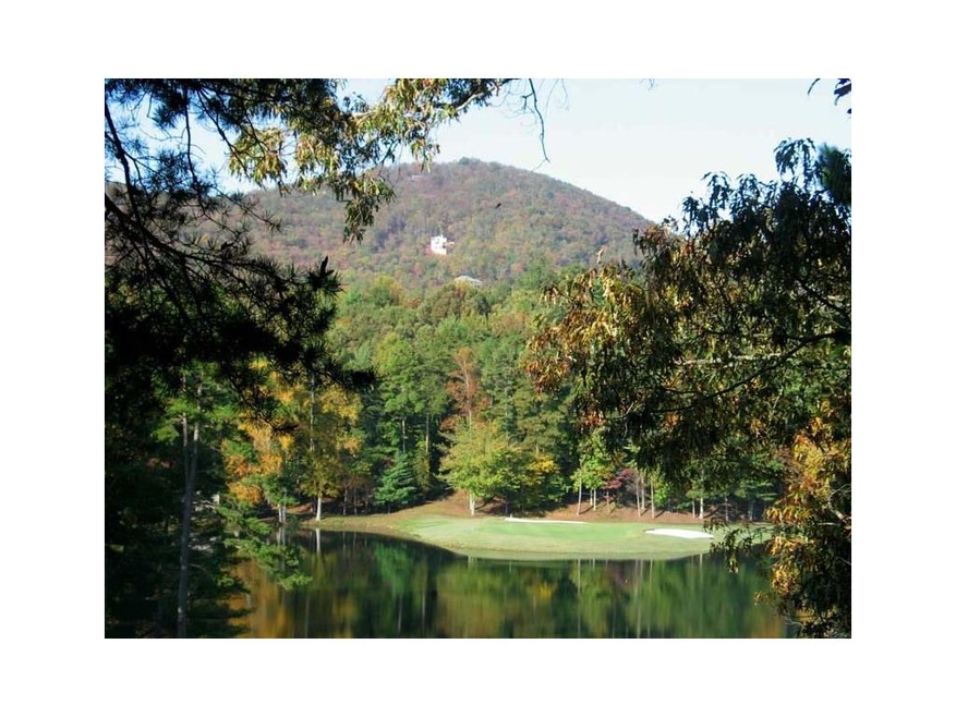 409 Gadalutsee Pass, Big Canoe, GA 30143 - photo 1