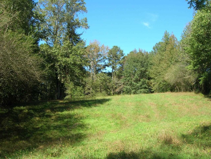 0 Oak Lake Rd unit 9069199, Bremen, GA 30110 - photo 1