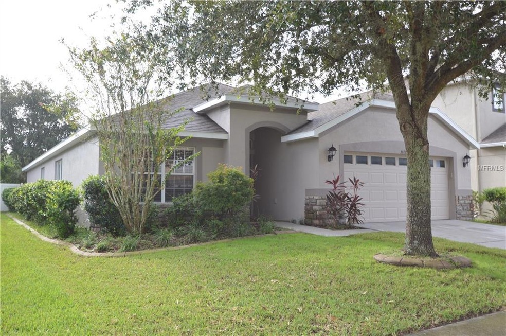 3620 Beneraid St, Land O Lakes, FL 34638 - photo 1