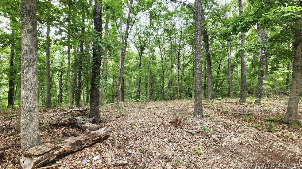 Great building site for your dream getaway!