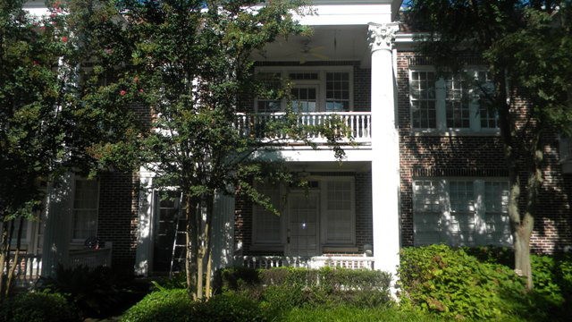 Main View