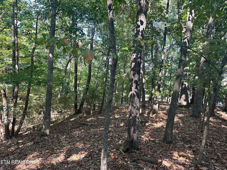 211 Chatuga Way, Loudon, TN 37774 - photo 1