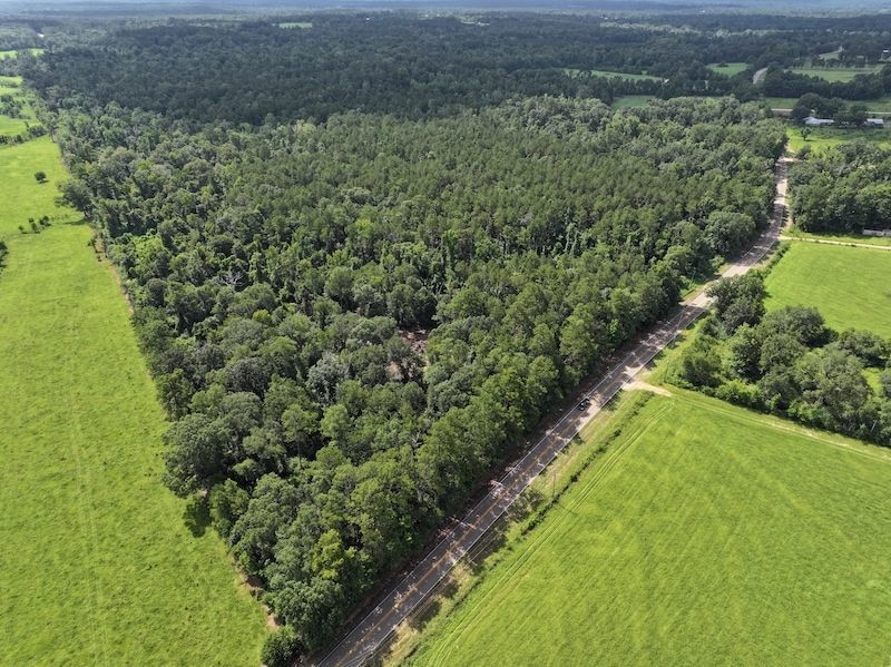 La Hwy 1058 unit LotWP001, Kentwood, LA 70444 - photo 1