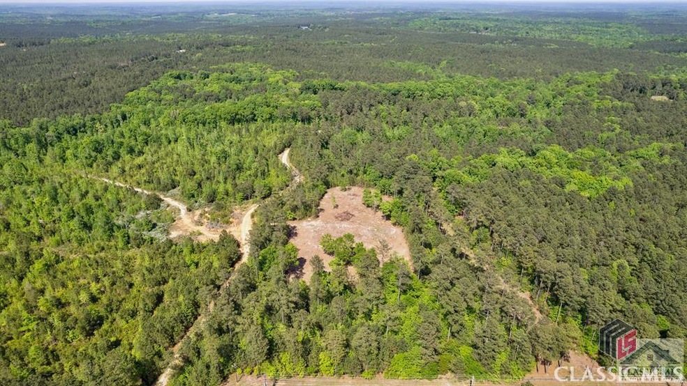 1602 Hulmes Chapel Rd, Elberton, GA 30635 - photo 1